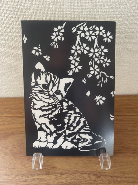 仔猫と桜